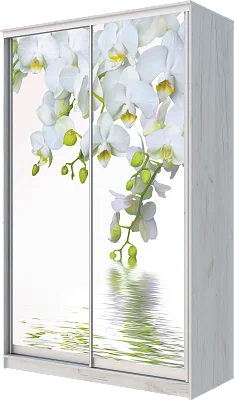 картинка Шкаф-купе 2-х дверный с фотопечатью Белая орхидея 2200 1682 420 от магазина КУПИ КУПЕ